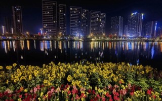 新会天气，新会天气预报一周 7天