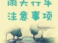 下雨天出行怎么开车，下雨天出行开车对生活的影响及注意事项