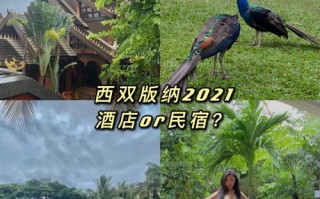 西双版纳冬天旅游攻略，西双版纳冬天去