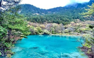 九寨沟旅游攻略七月份 - 九寨沟7日游攻略