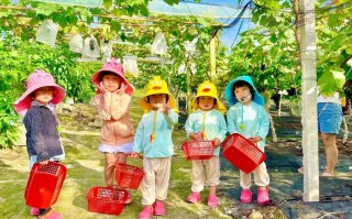 栖霞市天气预报 - 栖霞市天气预报明天能下雨