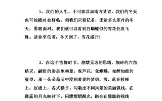 下雪出行的感言（下雪出行的感言简短）
