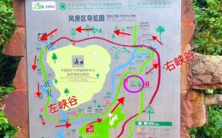 成都到碧峰峡旅游攻略（成都到碧峰峡自驾游攻略）