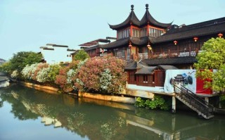 西双版纳小鱼出行（西双版纳鱼小院）