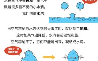 雾霾天气形成的原因 - 雾霾天气形成的原因和危害,研学报告