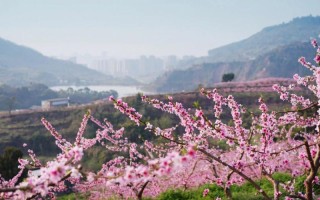 龙泉市天气预报 - 浙江龙泉市天气预报