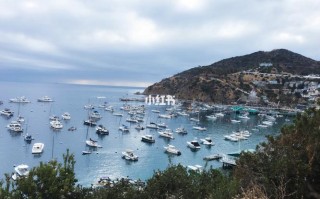 洛杉矶旅游攻略自助游 - 洛杉矶旅游攻略自由行