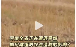 湖口天气，湖口天气预报15天查询2345