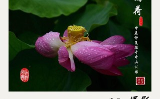 花莲天气，花莲天气预报7天查询