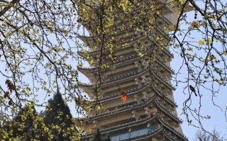 曲靖旅游攻略必去景点 - 曲靖旅游景点推荐