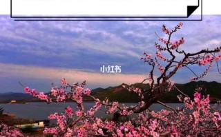 丹东河口景区旅游攻略（丹东河口景区旅游攻略一日游）