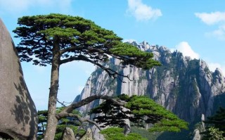 徽州区天气预报，徽州区天气预报徽州区
