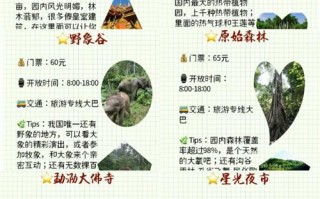 西双版纳旅游出行必备（西双版纳出游攻略）