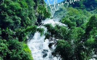 哀牢山一日游旅游攻略（哀牢山门票多少钱一个人）