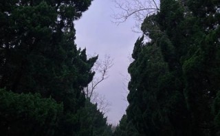 即墨市天气预报（即墨市天气预报今）