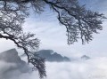 湖南邵阳天气 - 湖南邵阳天气15天预报准确率