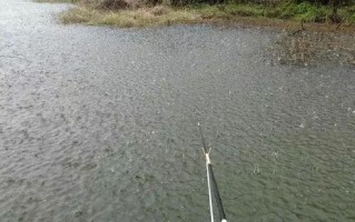 下雨出行钓鱼好吗，下雨钓鱼行不行