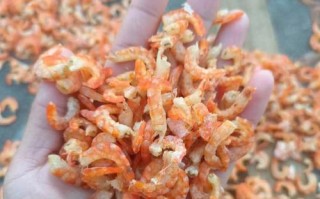虾米出行不在服务区，虾米出行覆盖城市