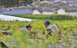 凉山天气（西昌凉山天气）