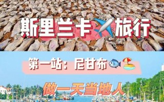 斯里兰卡旅游攻略花费（斯里兰卡自由行旅游攻略花费）