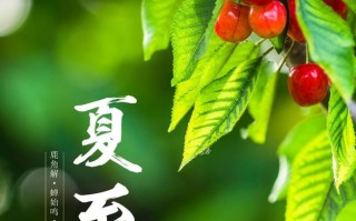 桂阳天气，桂阳天气未来15天冷空气