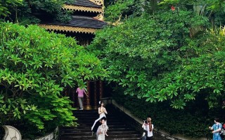 西双版纳情侣出行 - 西双版纳适合情侣去的地方