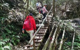天目山天气预报 - 临安天目山天气预报