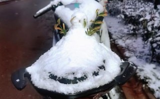 下雨下雪出行工具（下雨下雪出行工具怎么用）