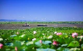 洪湖天气 - 洪湖天气预报15天准确 一个月