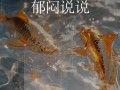 下雨了出行不利（下雨出门）