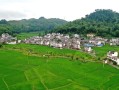 望谟天气，望谟天气预报15天查询结果