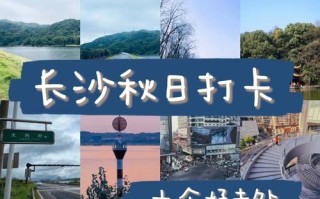长沙旅游攻略景点必去，长沙张家界旅游自由行攻略