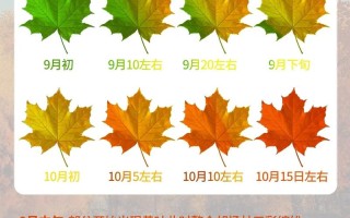 阿拉善盟天气，阿拉善盟天气预警