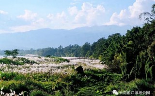 盈江旅游攻略必去景点（盈江旅游攻略必去景点一日游）