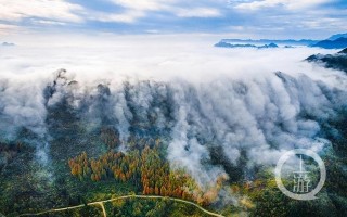 南川天气预报，南川天气预报一周7天十天