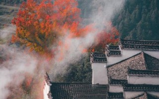 婺源天气（婺女洲天气）