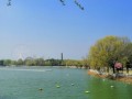 阜阳天气预报查询（阜阳天气预报查询一周50天）