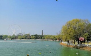 阜阳天气预报查询（阜阳天气预报查询一周50天）