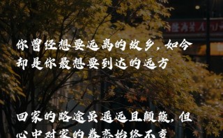 下雨出行到家文案，下雨出行的句子