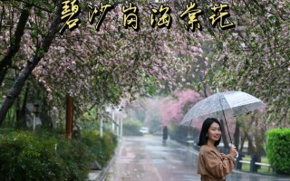 下雨还能出行的地方有哪些 - 下雨还适合出去旅游吗