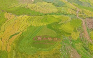 建宁天气，建宁天气预报15天天气