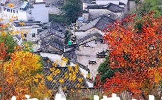 黟县天气（黟县天气预报）