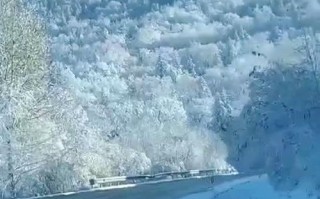 加格达奇天气，加格达奇天气预报15天查询当地疫情