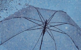 下雨天带小朋友出行文案（下雨天带小朋友出行文案简短）