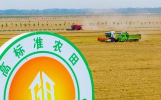 西平出行证明模板 - 出行证明范本