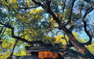 飞来峰灵隐寺旅游攻略（飞来峰灵隐寺旅游攻略地图）