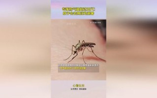 嵊州天气，嵊州天气预报40天查询百度百科
