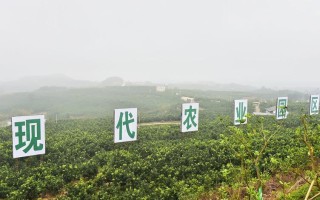 米易天气，米易天气攀枝花天气预报15天
