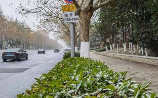 青岛天气预警 - 青岛天气预警最新精准