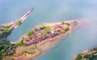 鲤鱼洲国宾馆旅游攻略 - 鲤鱼洲酒店攻略